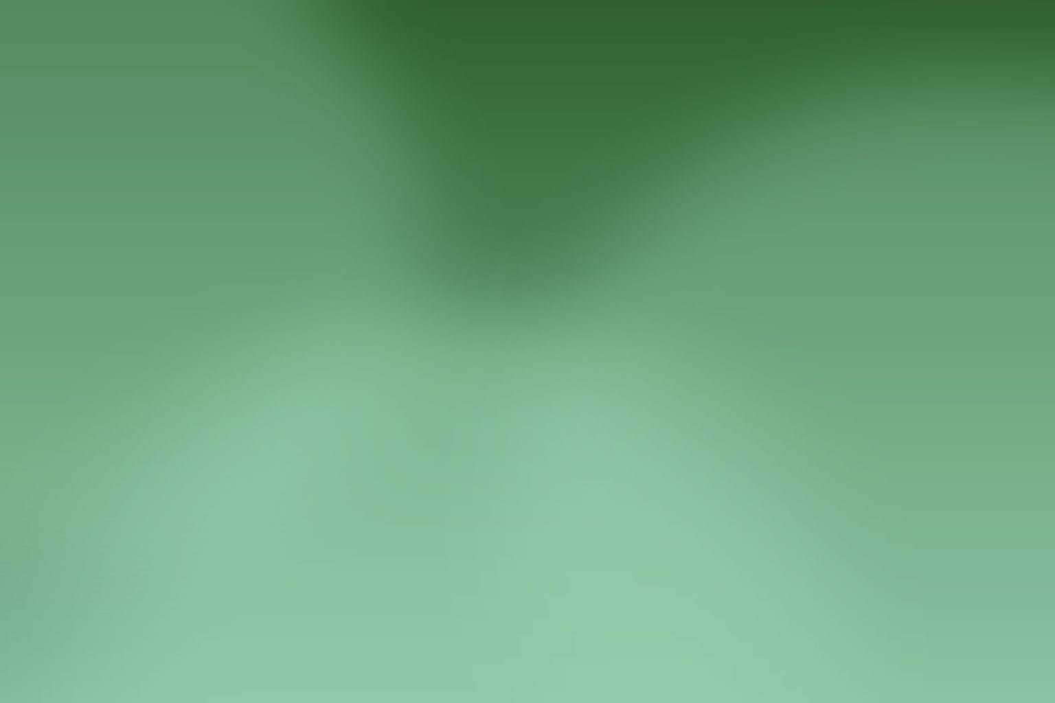 One lawn, a considered shortlist. AI-generated editorial illustration.